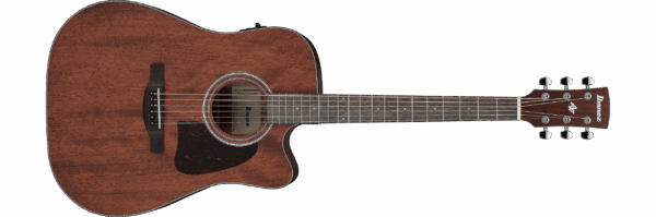 Ibanez AW54CEOPN
