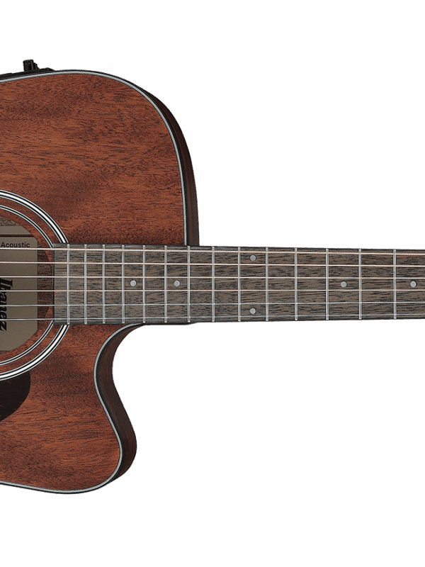 Ibanez AW54CEOPN