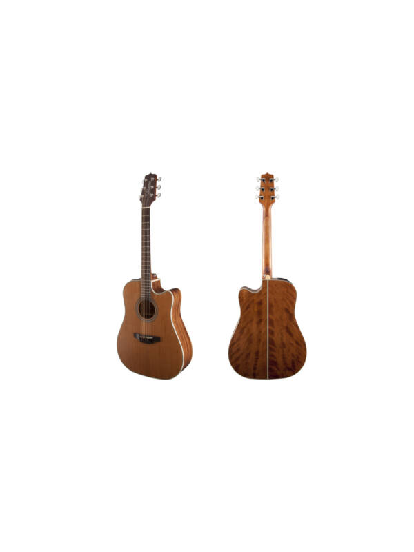 TAKAMINE GD20CE NS