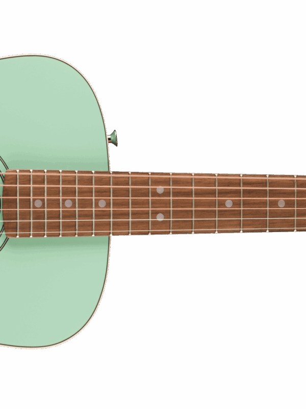 Fender CA STD Redondo Mini WB IB SFG
