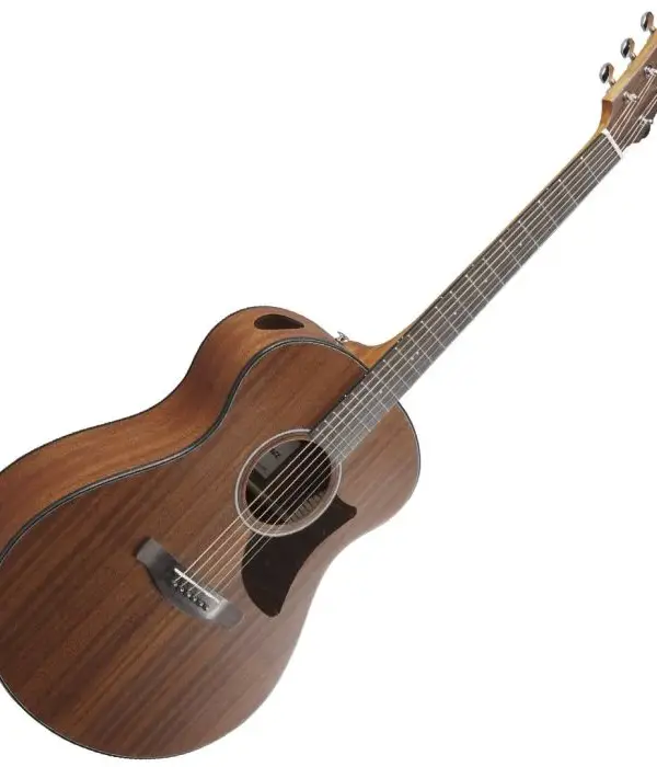 IBANEZ Aam54 Open Pore Natural